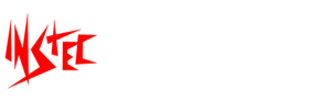 Instec Digital Systems